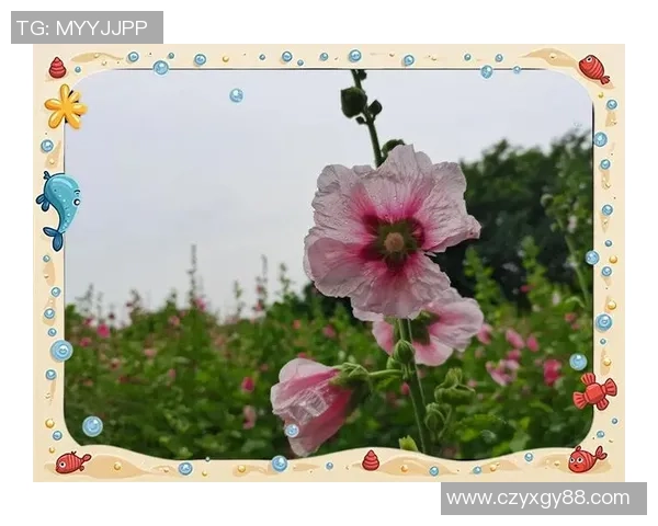 生活的艺术不仅在于娱乐更在于展现独特的生活态度与价值观 生活的艺术不仅在于娱乐更在于展现独特的生活态度与价值观