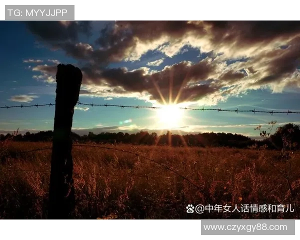 聚焦人生精彩瞬间,迎接好运与成功的美好时刻 聚焦人生精彩瞬间,迎接好运与成功的美好时刻